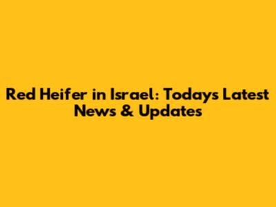 Red Heifer in Israel: Today's Latest News & Updates