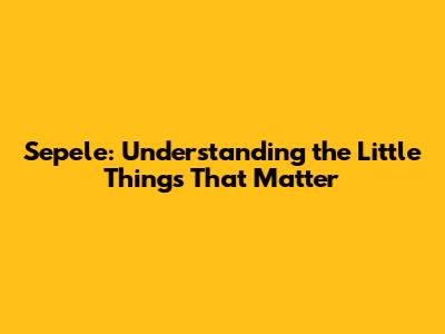 Sepele: Understanding the Little Things That Matter