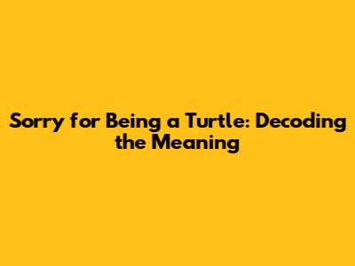 Sorry for Being a Turtle: Decoding the Meaning