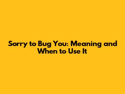 Sorry to Bug You: Meaning and When to Use It