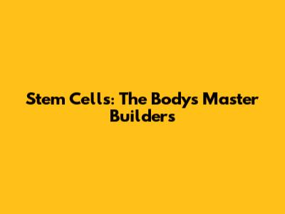 Stem Cells: The Body's Master Builders