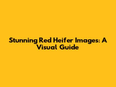 Stunning Red Heifer Images: A Visual Guide