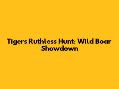 Tiger's Ruthless Hunt: Wild Boar Showdown