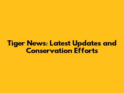Tiger News: Latest Updates and Conservation Efforts