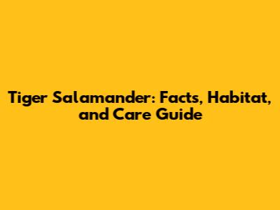 Tiger Salamander: Facts, Habitat, and Care Guide