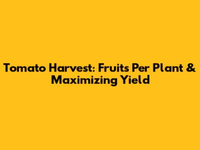 Tomato Harvest: Fruits Per Plant & Maximizing Yield