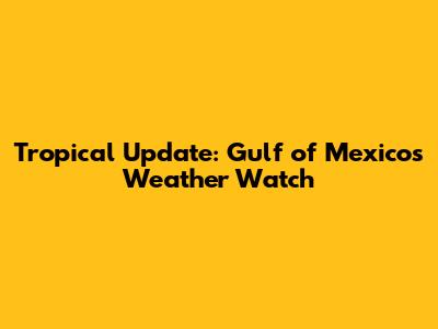 Tropical Update: Gulf of Mexico's Weather Watch