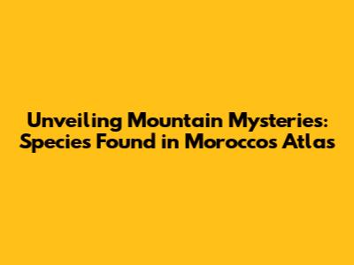 Unveiling Mountain Mysteries: Species Found in Morocco's Atlas