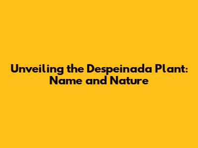 Unveiling the 'Despeinada' Plant: Name and Nature