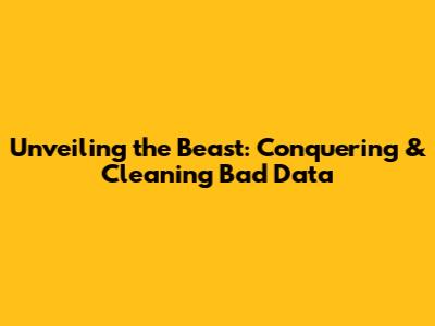 Unveiling the Beast: Conquering & Cleaning Bad Data
