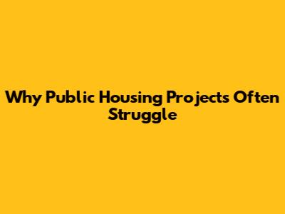 Why Public Housing Projects Often Struggle