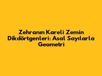 Zehra'nın Kareli Zemin Dikdörtgenleri: Asal Sayılarla Geometri